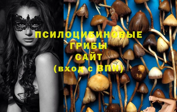 прущие крисы Сатка