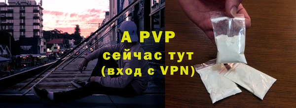 хмурый Абаза