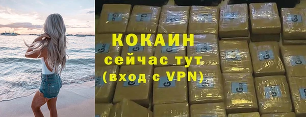 хмурый Абаза