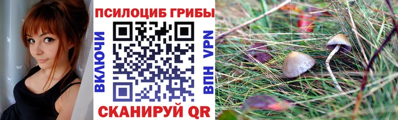 Псилоцибиновые грибы Magic Shrooms Болохово