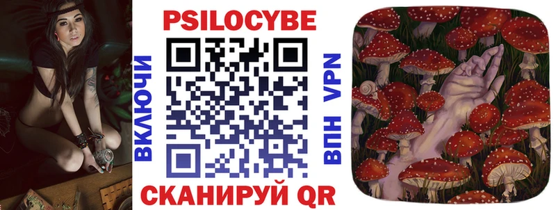 купить наркотики цена  Болохово  kraken ССЫЛКА  Галлюциногенные грибы MAGIC MUSHROOMS 